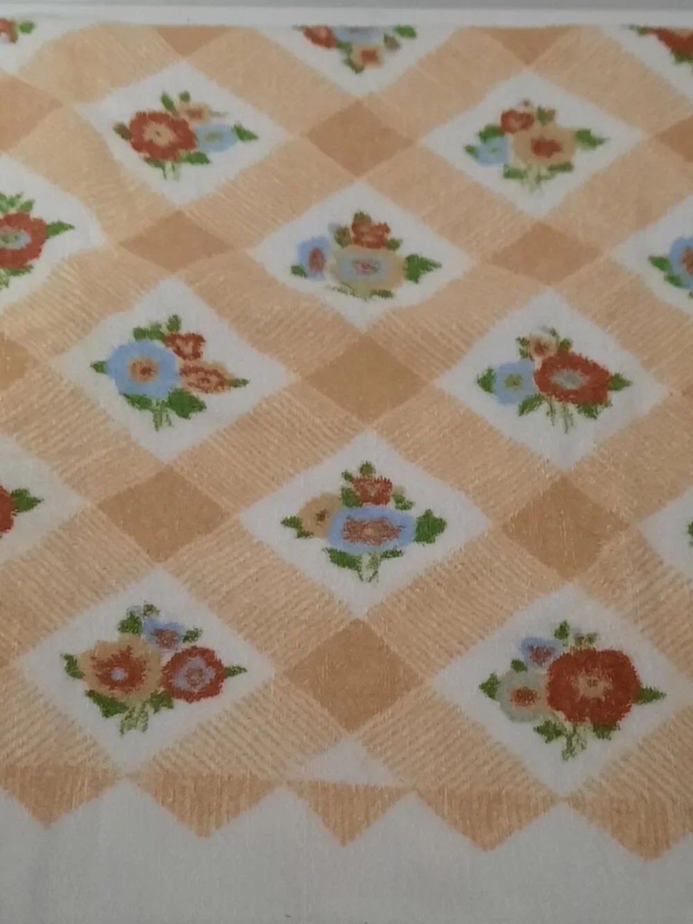 Vintage Lady Pepperell Floral Gingham Towel Set Tan Red Blue Washcloths USA